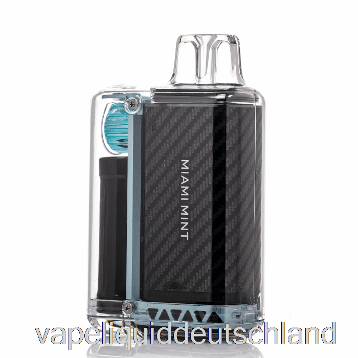 Vozol Vista 16000 Einweg-Vape-Liquid In Miami Mint